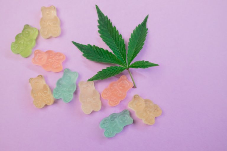 Seasonal CBD Edibles: Perfect for Holidays and Celebrations