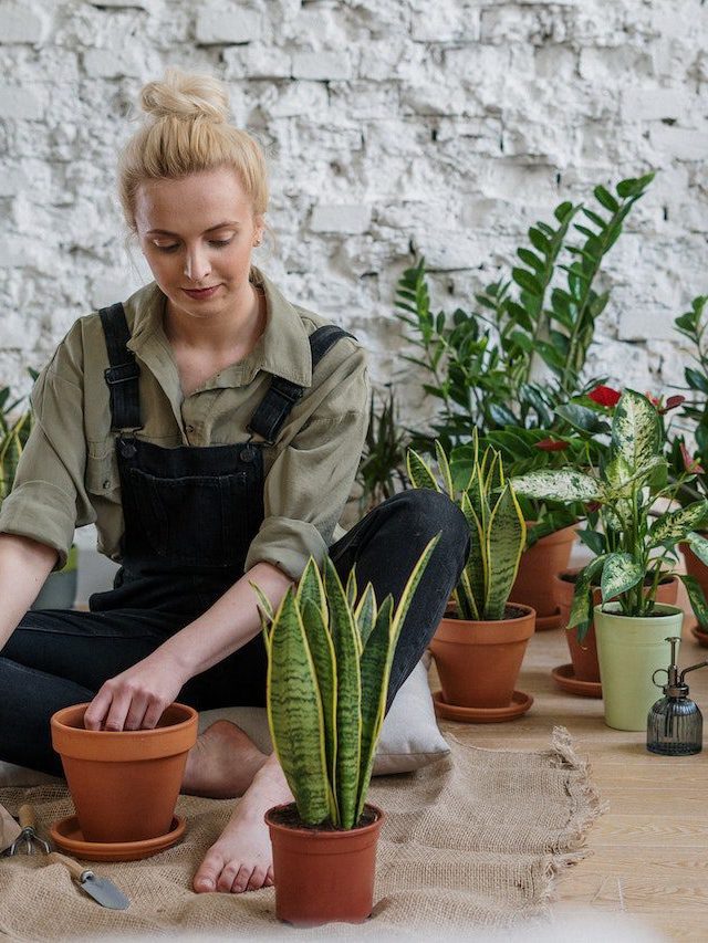 Therapeutic Gardening