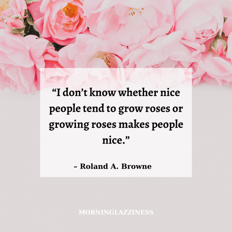 60 Best Rose Quotes To Appreciate the Beauty Of Life and Thorns ...