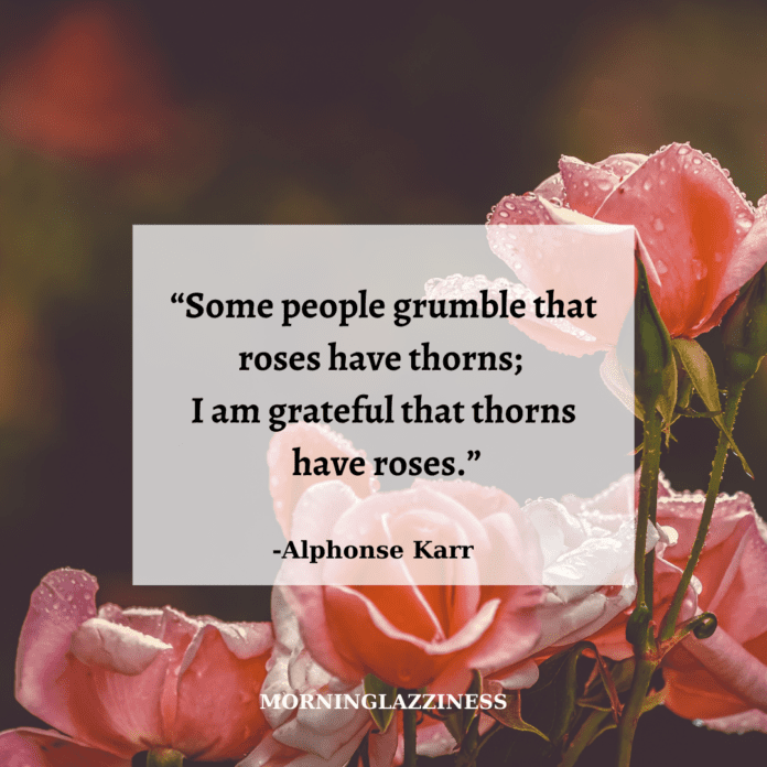 60 Best Rose Quotes To Appreciate the Beauty Of Life and Thorns ...