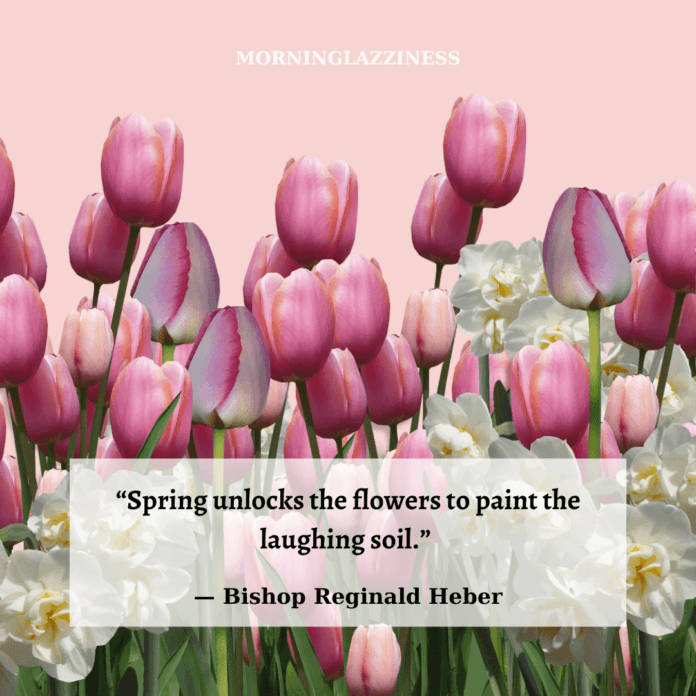 50 Best Spring Quotes To Appreciate The Beauty Of Little Things Around ...