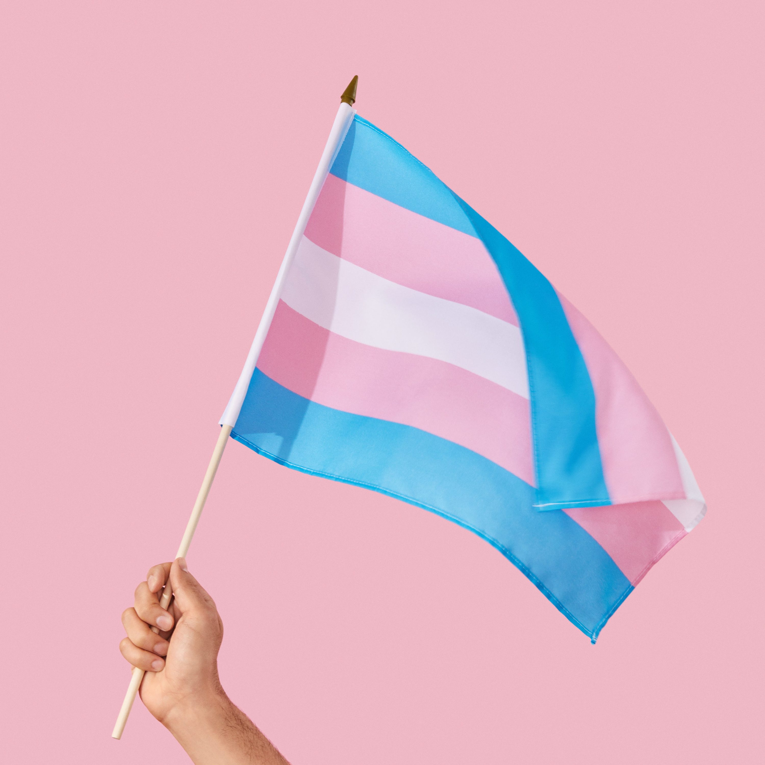 The Trans Pride Flag