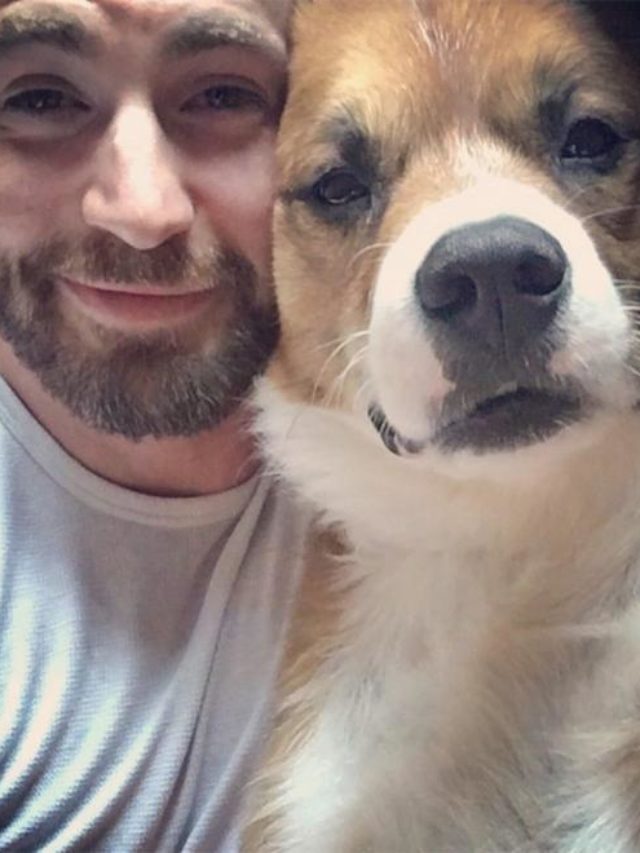 Chris Evans Celebrates National Dog Day with Pup Dodger3