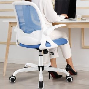 KERDOM Ergonomic Office Chair