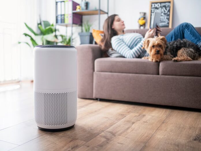 air purifier room